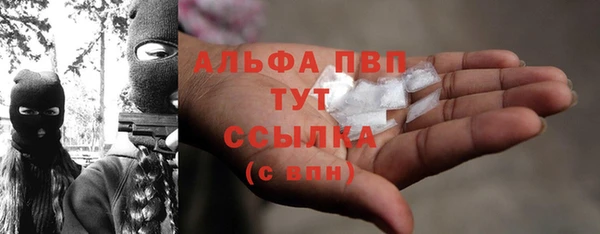 крисы Алзамай